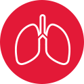 Lung icon on red background