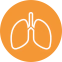 Lung icon on orange background 
